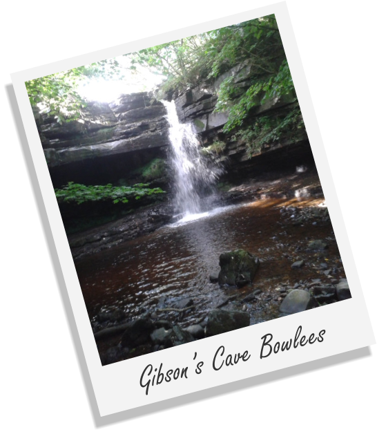 Gibson’s Cave Bowlees