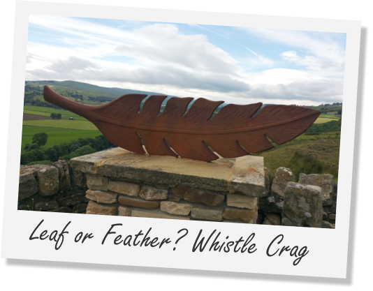 Leaf or Feather? Whistle Crag